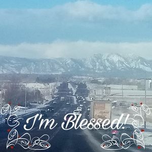 Meet your Posher, Roy